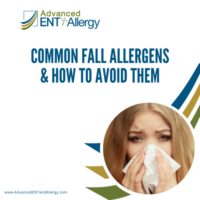 Common Fall Allergens & How to Avoid Them